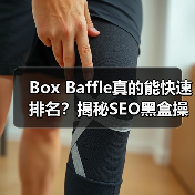 Box Baffle真的能快速排名?揭秘SEO黑盒操作内幕(图1) Box Baffle真的能快速排名?揭秘SEO黑盒操作内幕(图1)