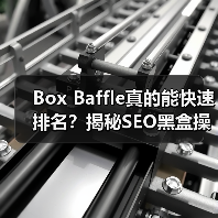 Box Baffle真的能快速排名？揭秘SEO黑盒操作内幕（图4）