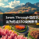 Sewn Through借权玩法为何成SEO突围新手段（图4）