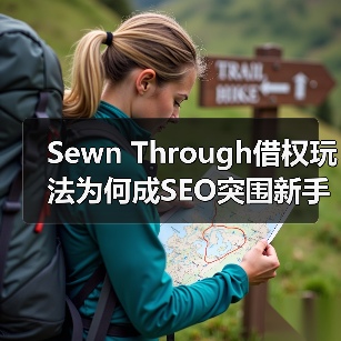 Sewn Through借权玩法为何成SEO突围新手段（图3）