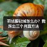 羽绒服钻绒怎么办?我踩出三个月真方法(图4) 羽绒服钻绒怎么办?我踩出三个月真方法(图4)