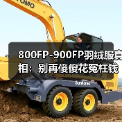 800FP-900FP羽绒服真相:别再傻傻花冤枉钱了(图1) 800FP-900FP羽绒服真相:别再傻傻花冤枉钱了(图1)