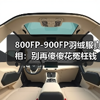 800FP-900FP羽绒服真相:别再傻傻花冤枉钱了(图2) 800FP-900FP羽绒服真相:别再傻傻花冤枉钱了(图2)