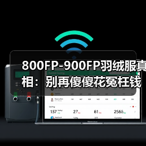 800FP-900FP羽绒服真相:别再傻傻花冤枉钱了 800FP-900FP羽绒服真相:别再傻傻花冤枉钱了