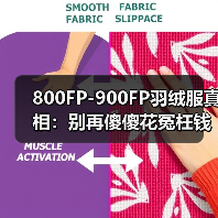 800FP-900FP羽绒服真相:别再傻傻花冤枉钱了(图4) 800FP-900FP羽绒服真相:别再傻傻花冤枉钱了(图4)