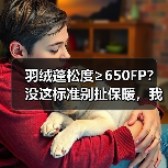 羽绒蓬松度≥650FP?没这标准别扯保暖,我踩坑五年才明白 羽绒蓬松度≥650FP?没这标准别扯保暖,我踩坑五年才明白