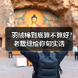 羽绒棉到底算不算好?老裁缝给你句实话(图3) 羽绒棉到底算不算好?老裁缝给你句实话(图3)