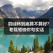 羽绒棉到底算不算好?老裁缝给你句实话(图4) 羽绒棉到底算不算好?老裁缝给你句实话(图4)