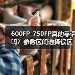 600FP-750FP真的靠谱吗?参数区间选择误区全解析(图2) 600FP-750FP真的靠谱吗?参数区间选择误区全解析(图2)