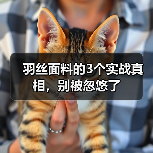 羽丝面料的3个实战真相，别被忽悠了（图2）
