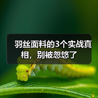 羽丝面料的3个实战真相，别被忽悠了（图3）