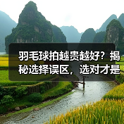 羽毛球拍越贵越好？揭秘选择误区，选对才是关键（图1）