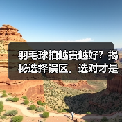 羽毛球拍越贵越好?揭秘选择误区,选对才是关键 羽毛球拍越贵越好?揭秘选择误区,选对才是关键