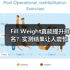 Fill Weight真能提升排名？实测结果让人震惊！（图1）