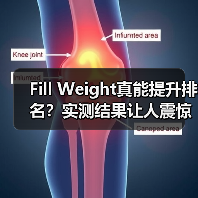 Fill Weight真能提升排名?实测结果让人震惊!