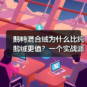 鹅鸭混合绒为什么比纯鹅绒更值?一个实战派的选择逻辑 鹅鸭混合绒为什么比纯鹅绒更值?一个实战派的选择逻辑