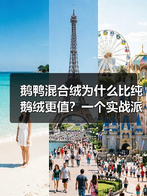 鹅鸭混合绒为什么比纯鹅绒更值?一个实战派的选择逻辑(图4) 鹅鸭混合绒为什么比纯鹅绒更值?一个实战派的选择逻辑(图4)