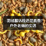 羽绒服坑钱还是真香?户外老炮的实话(图3) 羽绒服坑钱还是真香?户外老炮的实话(图3)