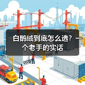 白鹅绒到底怎么选？一个老手的实话（图3）