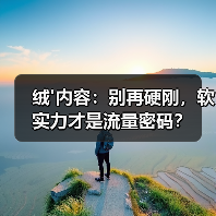 绒'内容:别再硬刚,软实力才是流量密码?(图2) 绒'内容:别再硬刚,软实力才是流量密码?(图2)