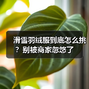 滑雪羽绒服到底怎么挑?别被商家忽悠了 滑雪羽绒服到底怎么挑?别被商家忽悠了