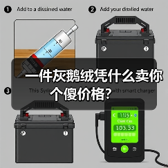 一件灰鹅绒凭什么卖你个傻价格?(图2) 一件灰鹅绒凭什么卖你个傻价格?(图2)