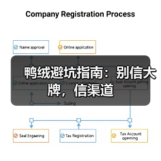 鸭绒避坑指南:别信大牌,信渠道(图3) 鸭绒避坑指南:别信大牌,信渠道(图3)
