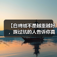 【白鸭绒不是越重越好，踩过坑的人告诉你真相】（图3）