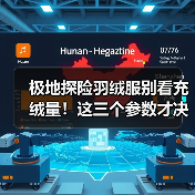极地探险羽绒服别看充绒量!这三个参数才决定保暖(图2) 极地探险羽绒服别看充绒量!这三个参数才决定保暖(图2)