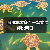 鹅绒坑太多?一篇文给你说明白(图4) 鹅绒坑太多?一篇文给你说明白(图4)
