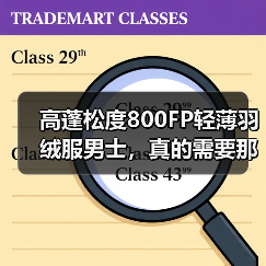 高蓬松度800FP轻薄羽绒服男士,真的需要那么高吗(图3) 高蓬松度800FP轻薄羽绒服男士,真的需要那么高吗(图3)