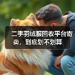 二手羽绒服回收平台寄卖,到底划不划算(图2) 二手羽绒服回收平台寄卖,到底划不划算(图2)