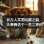 北方人买羽绒服之前,先看看这个一衣三穿的真实教训