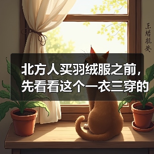 北方人买羽绒服之前,先看看这个一衣三穿的真实教训(图3) 北方人买羽绒服之前,先看看这个一衣三穿的真实教训(图3)