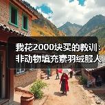 我花2000块买的教训:非动物填充素羽绒服人造保暖到底行不行?(图1) 我花2000块买的教训:非动物填充素羽绒服人造保暖到底行不行?(图1)