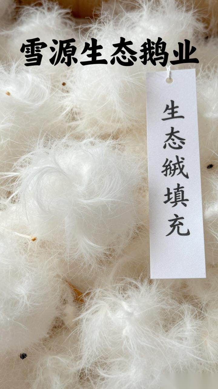儿童加厚羽绒马甲定制指南-雪源生态鹅绒背心优势(图1) 儿童加厚羽绒马甲定制指南-雪源生态鹅绒背心优势