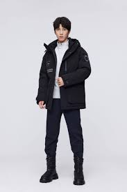 为什么鹅毛羽绒服受欢迎？解密潮流趋势2023年(图2)