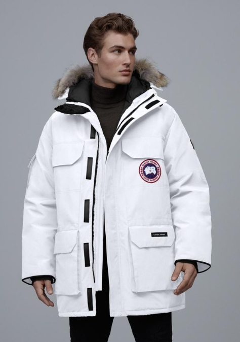 雪源生态鹅业：羽绒服时尚趋势大揭秘，今冬必备单品(图1)