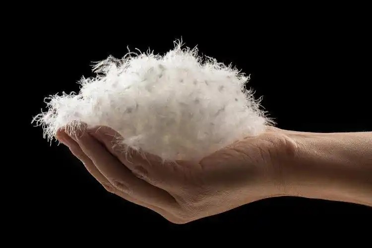 寒潮来袭羽绒服价格“坐火箭”?消费者直呼:买件衣服像炒股(图3) 寒潮来袭羽绒服价格“坐火箭”?消费者直呼:买件衣服像炒股(图3)